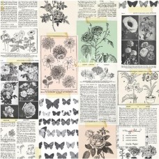 Ацетатный лист Maggie Holmes - Botanical, Коллекция Flourish, 30х30 см., Crate Paper, BU001768