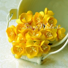 Цветы Вишни, цвет:жёлтый, размер 25 мм., цена за 5 шт., UC001190