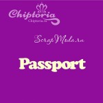 Чипборд надпись Passport, размер  1,2х6см., Chiptoria. VT000808